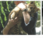 ANIMAL-RESCUE CENTER SPONSOR