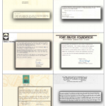 REFERENCES6